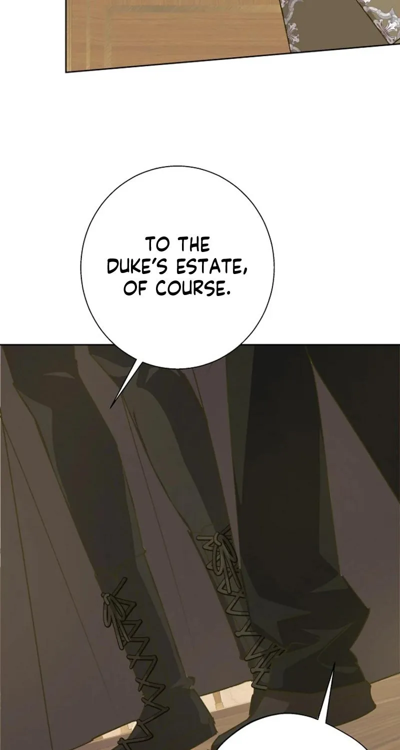 Chapter 17 — page 53