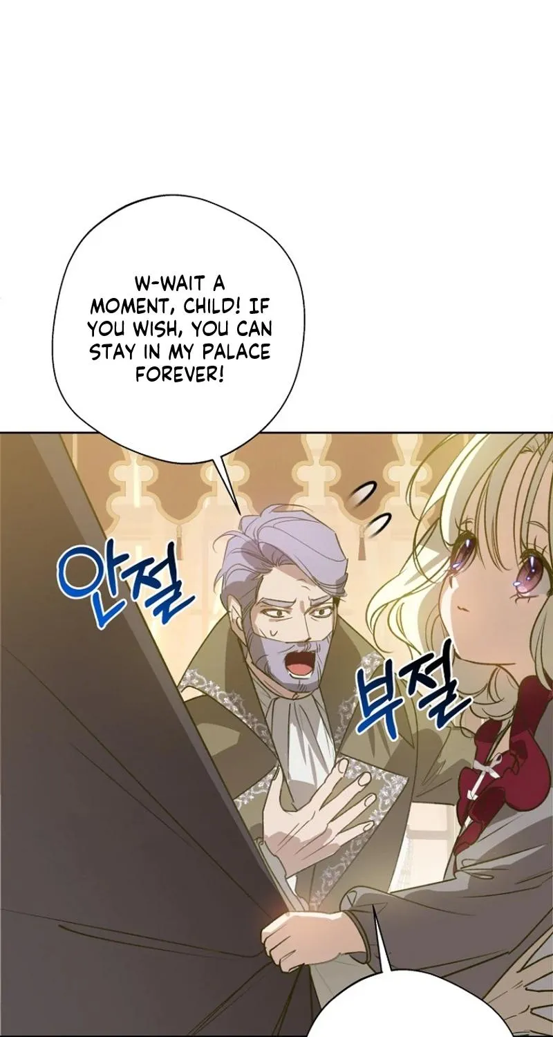 Chapter 17 — page 69