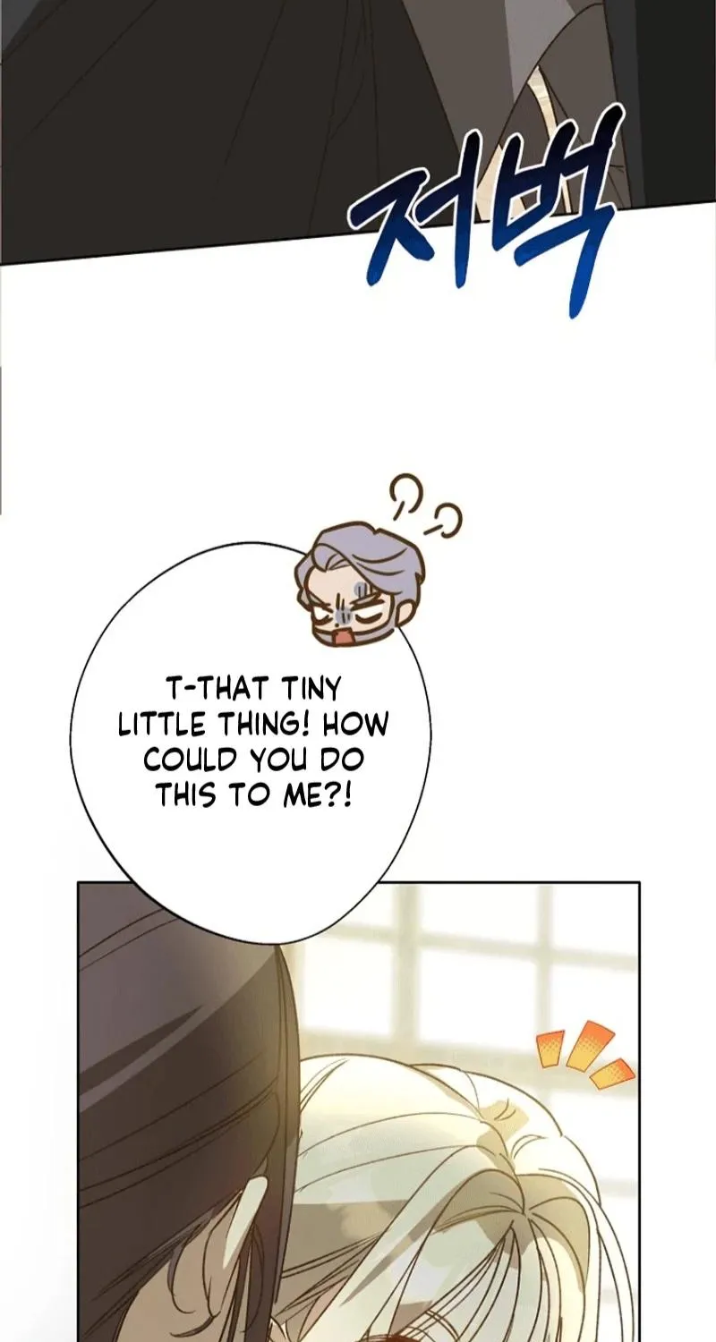 Chapter 17 — page 73