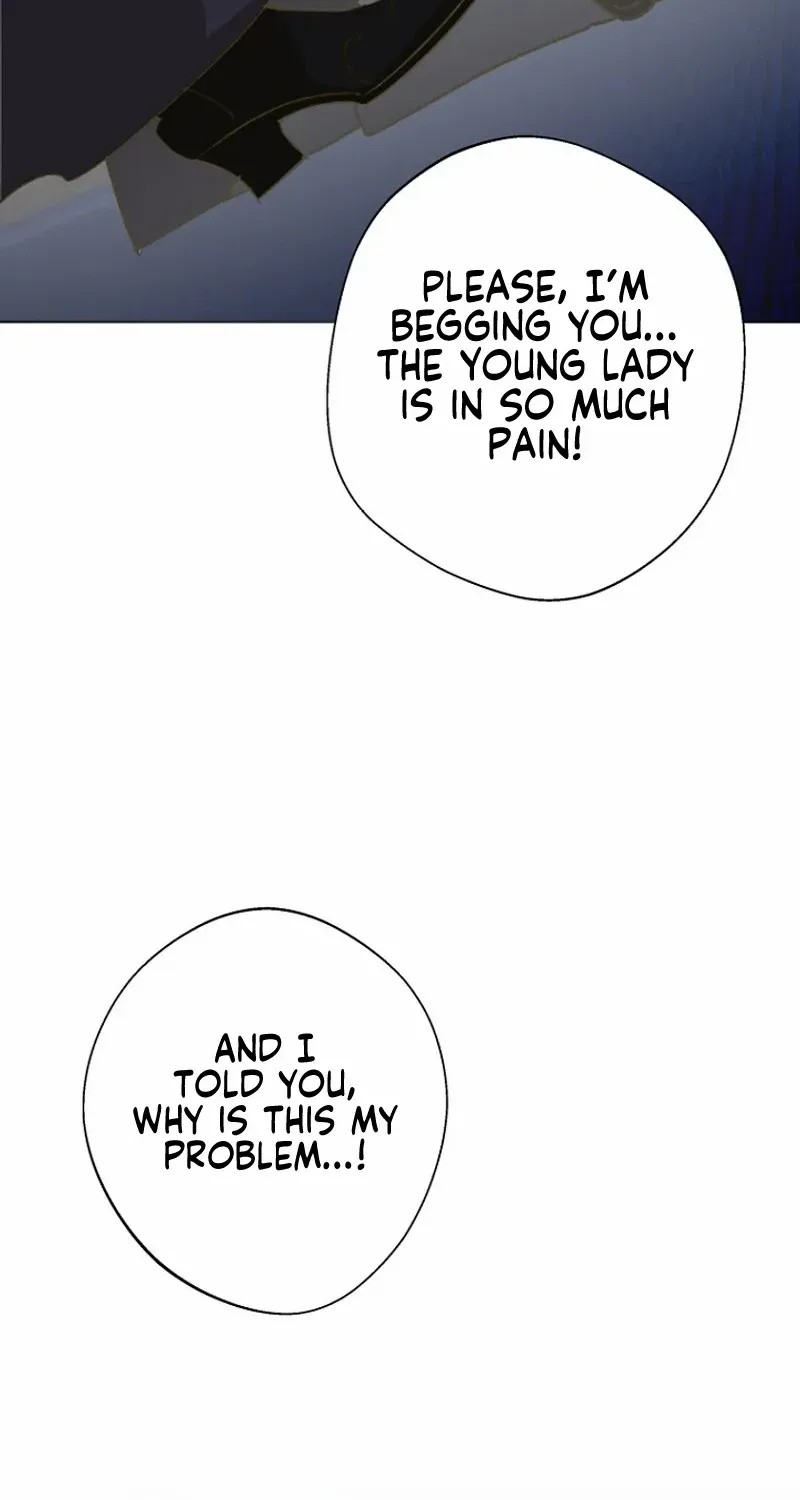 Chapter 23 — page 54