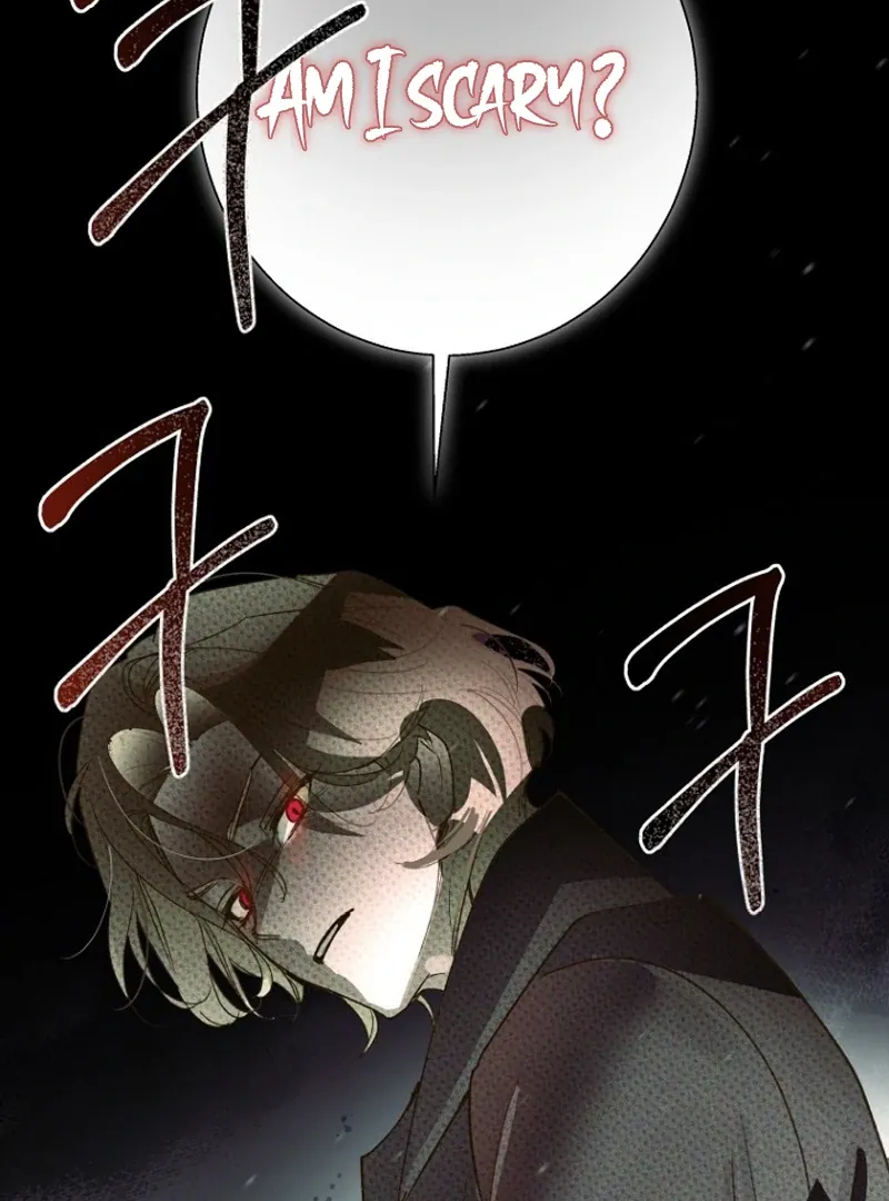 Chapter 25 — page 107