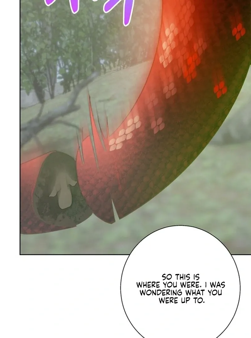 Chapter 29 — page 66