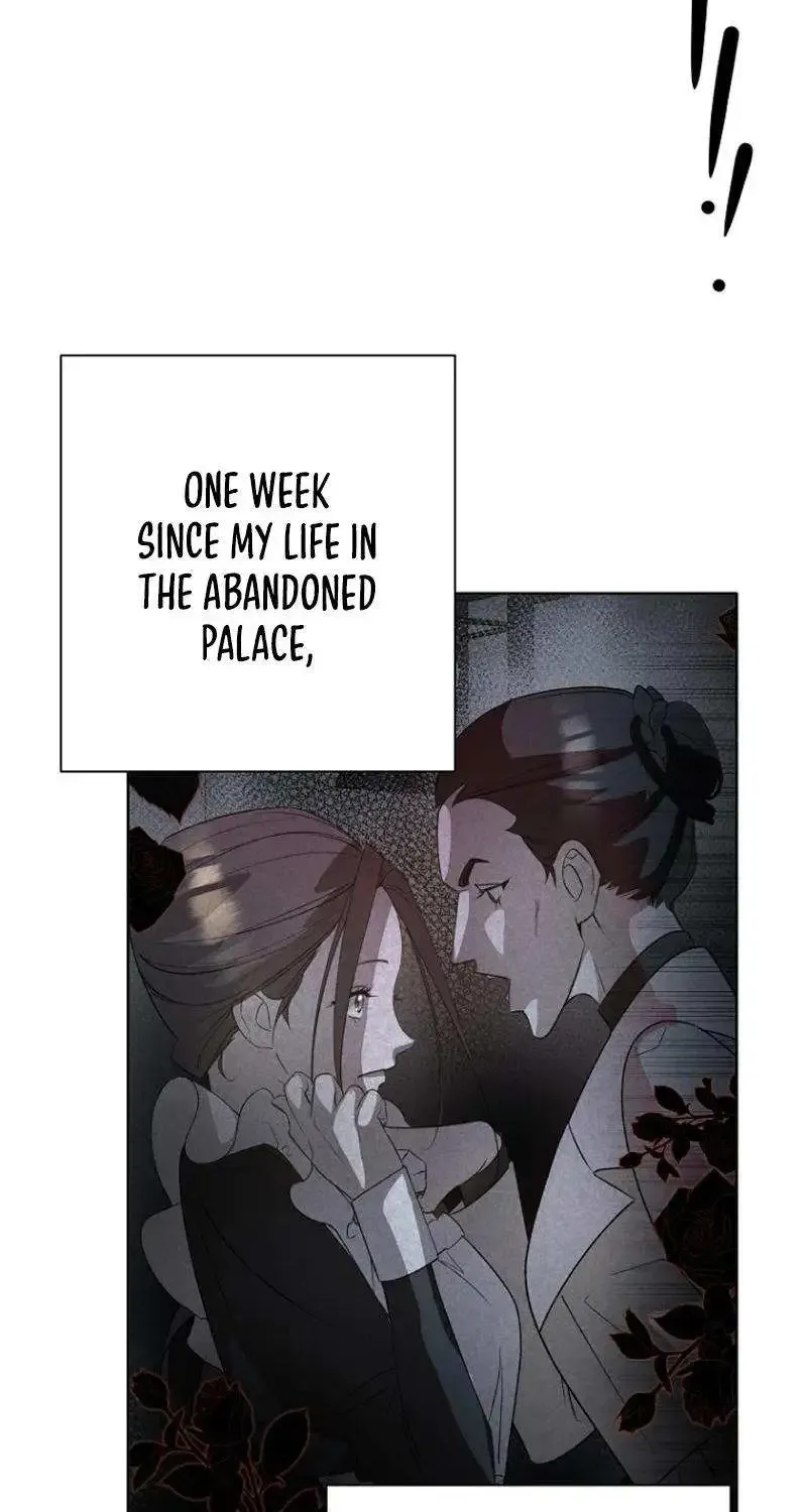 Chapter 5 — page 51