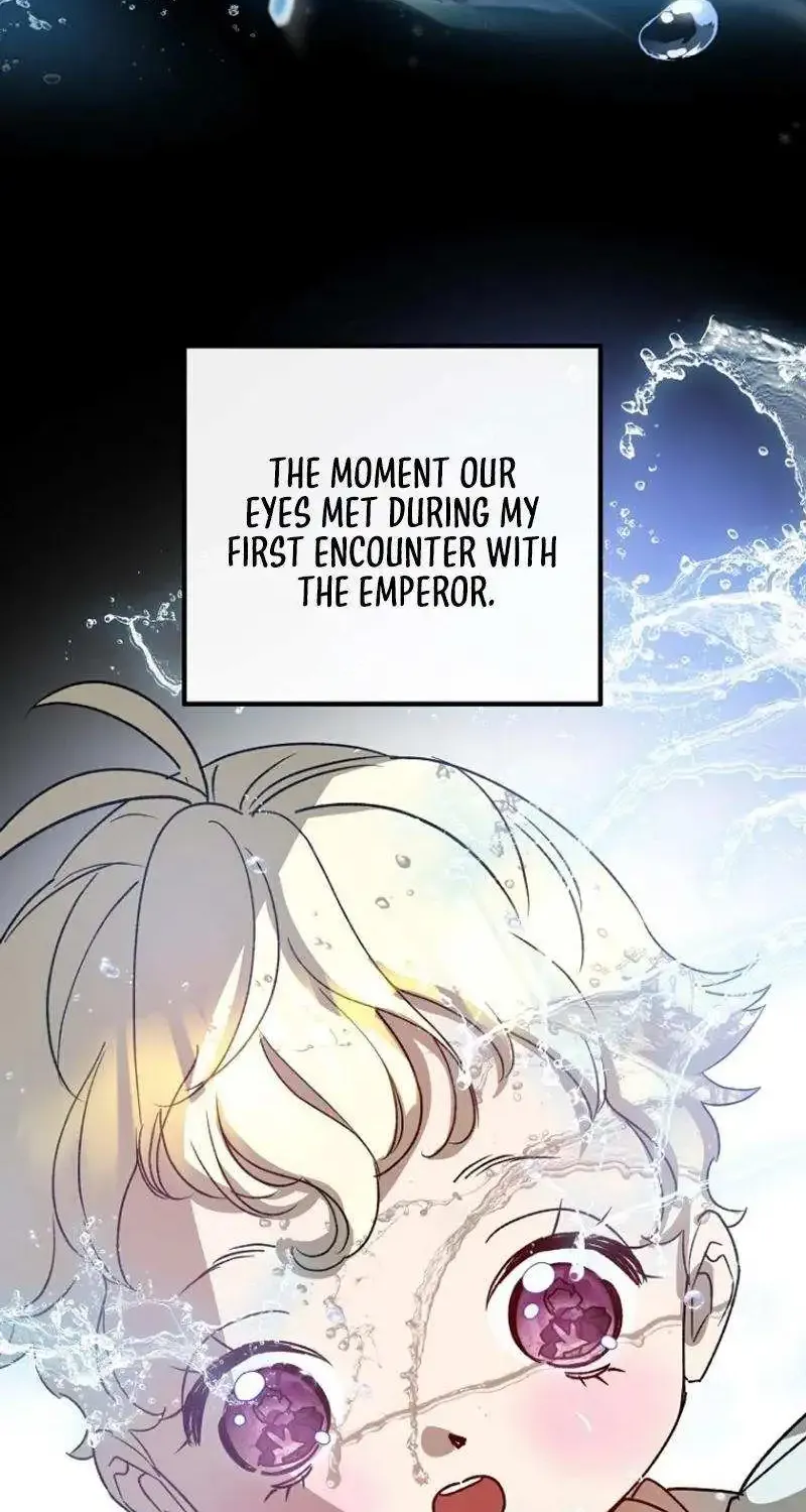Chapter 7 — page 66
