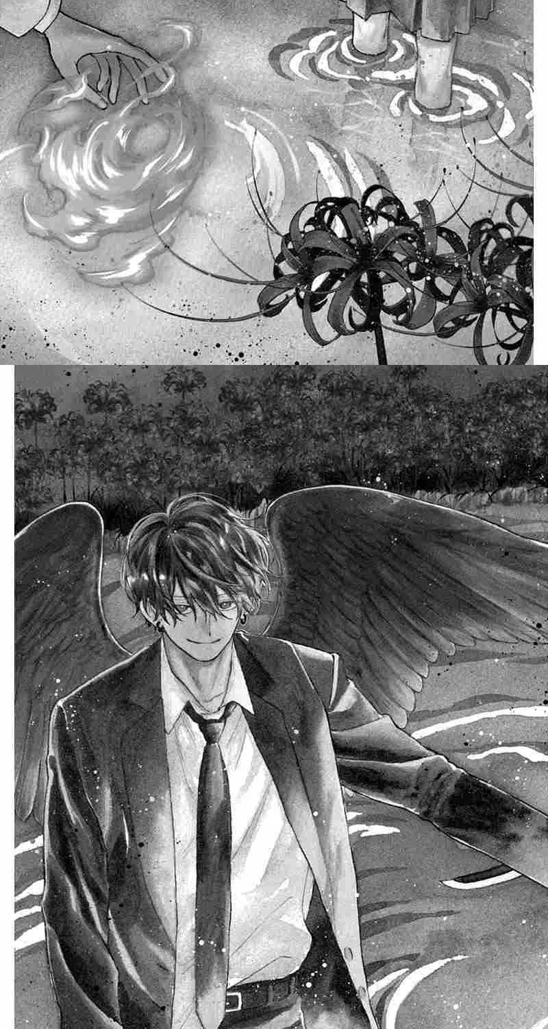 Chapter 4 — page 6