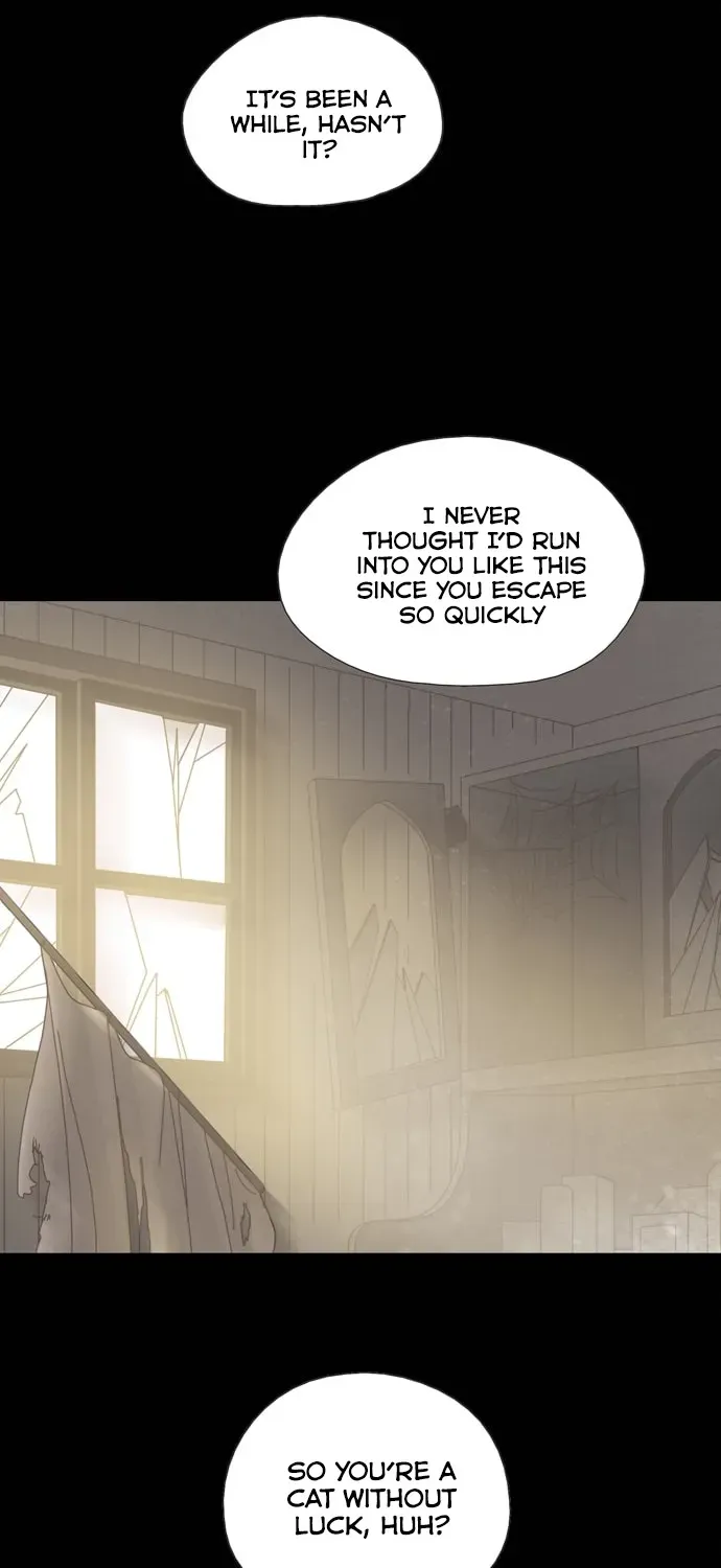 Chapter 19 — page 18