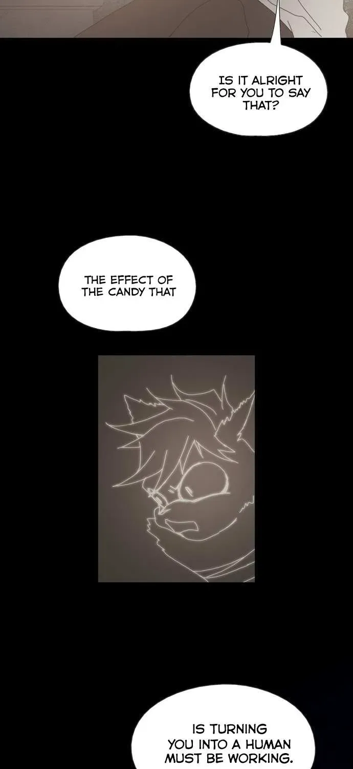 Chapter 19 — page 27
