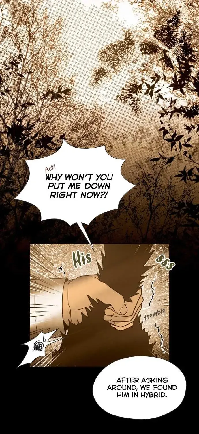 Chapter 19 — page 3