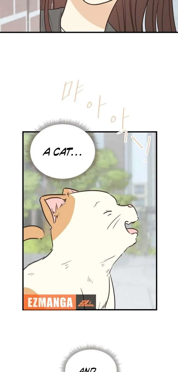 Chapter 12 — page 54