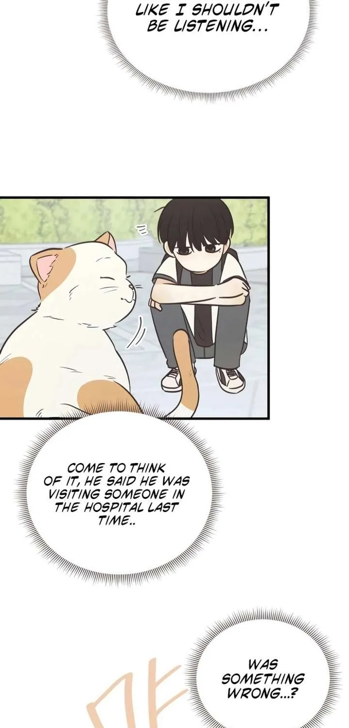 Chapter 12 — page 63