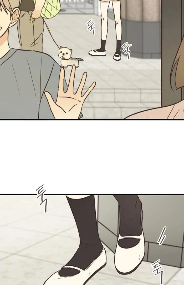 Chapter 7 — page 40