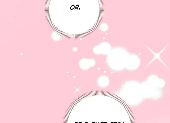 Chapter 19 — page 107