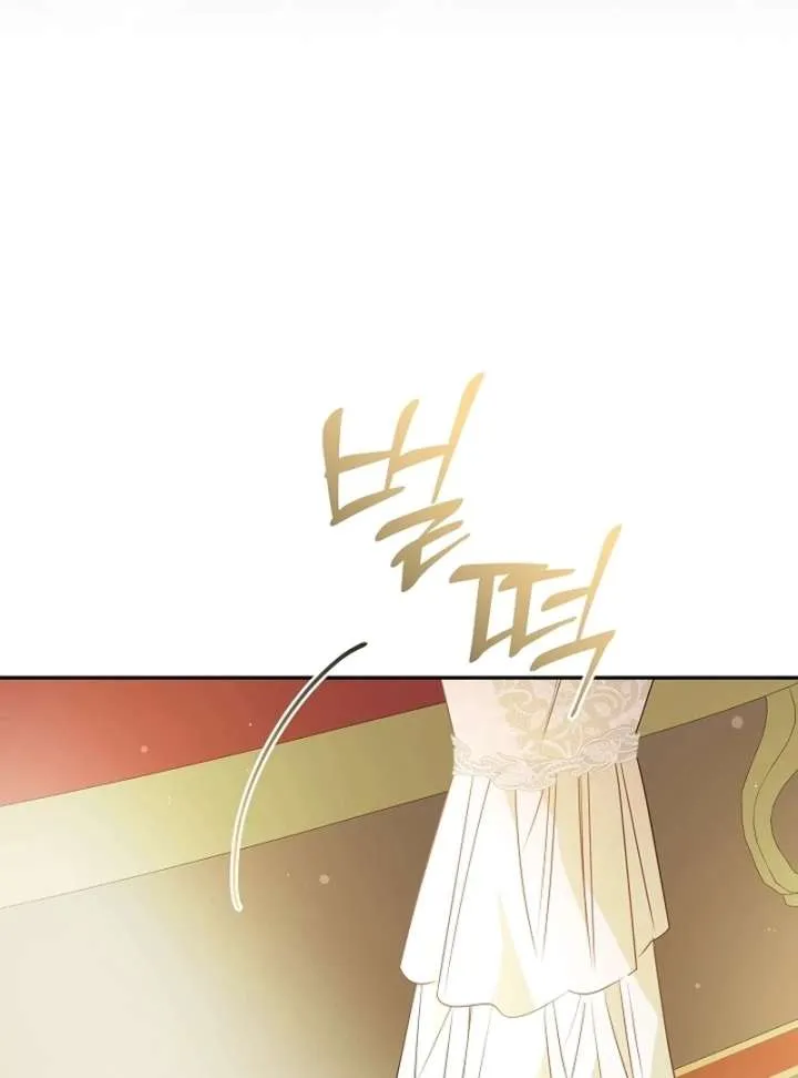 Chapter 24 — page 101