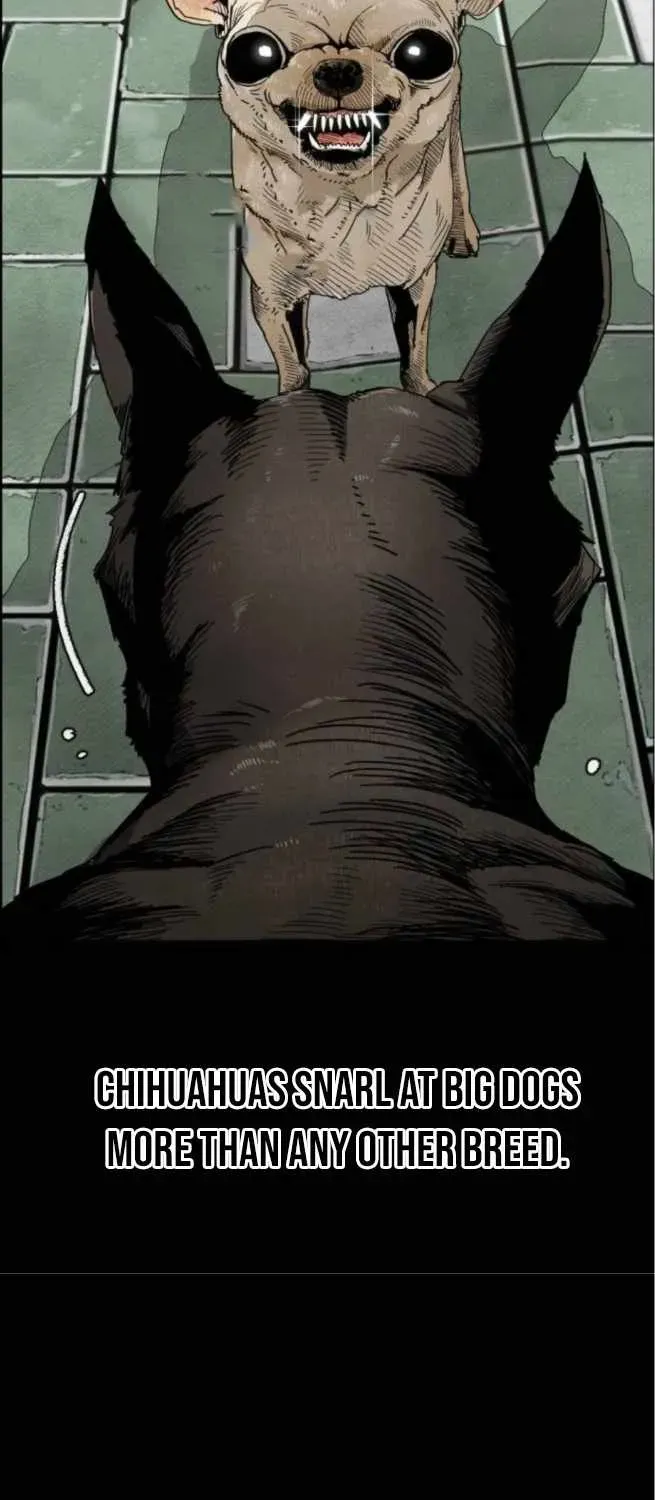 Chapter 1 — page 5