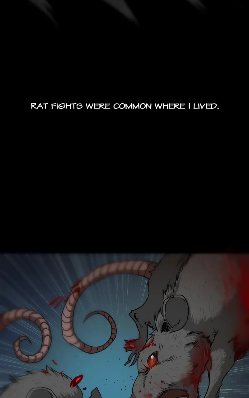 Chapter 18 — page 25