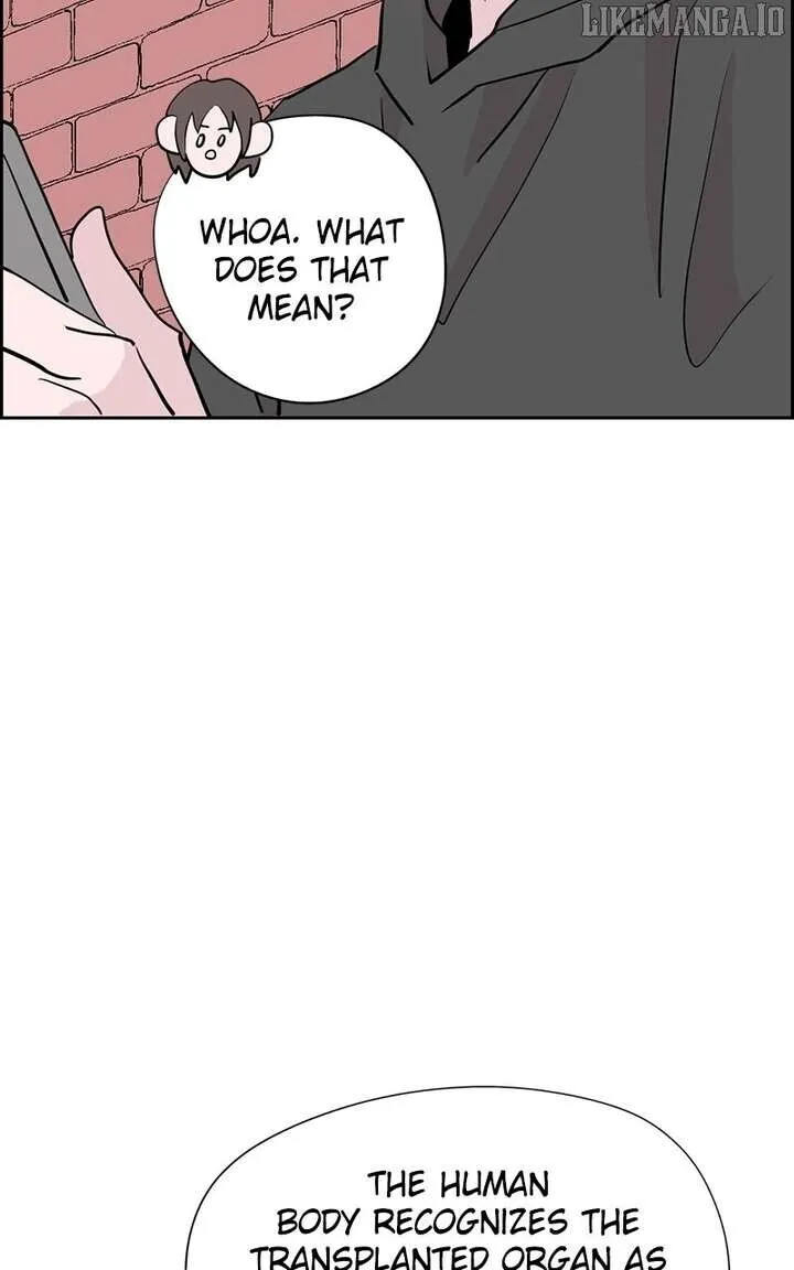 Chapter 29 — page 91