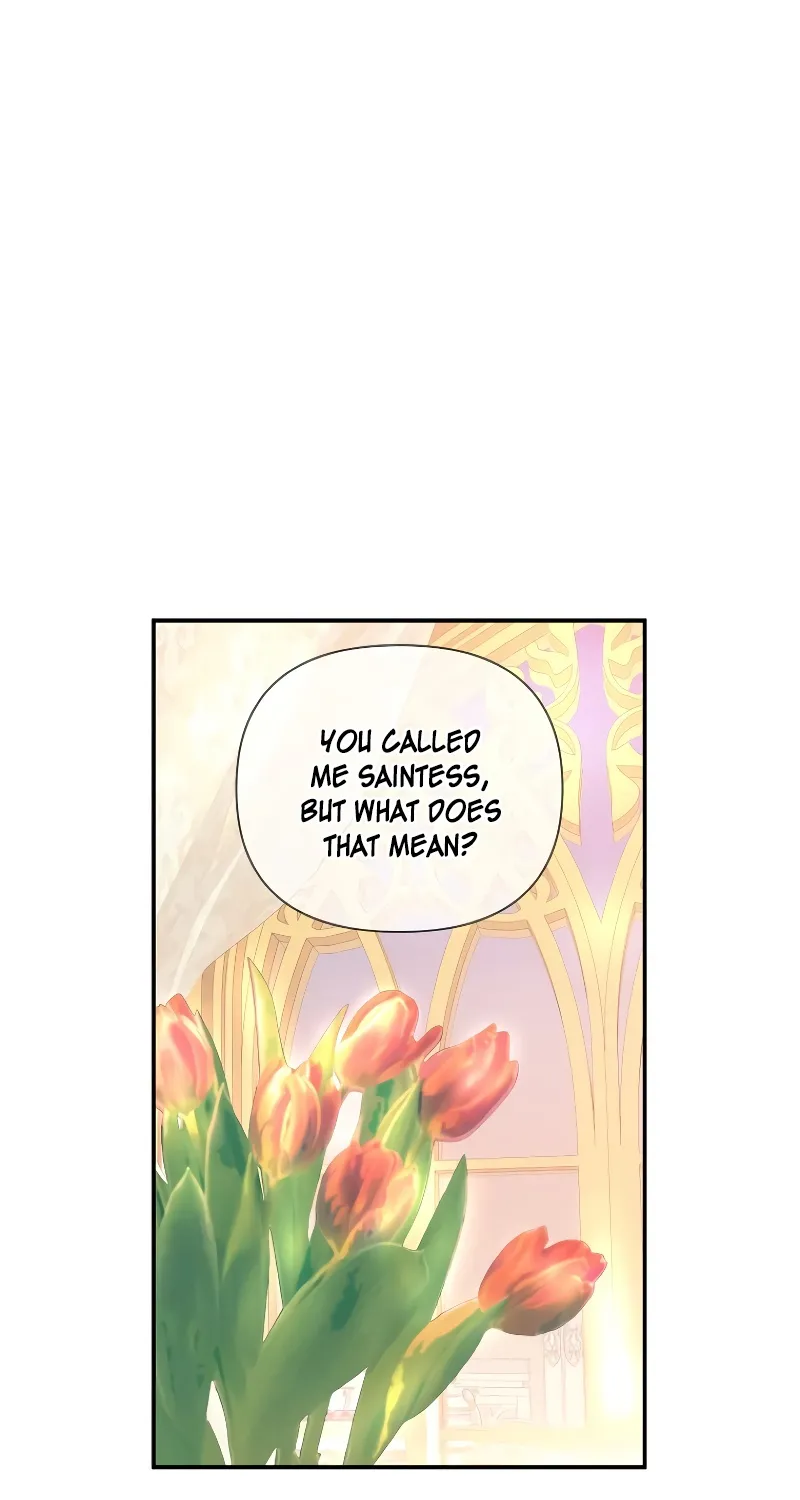 Chapter 2 — page 28