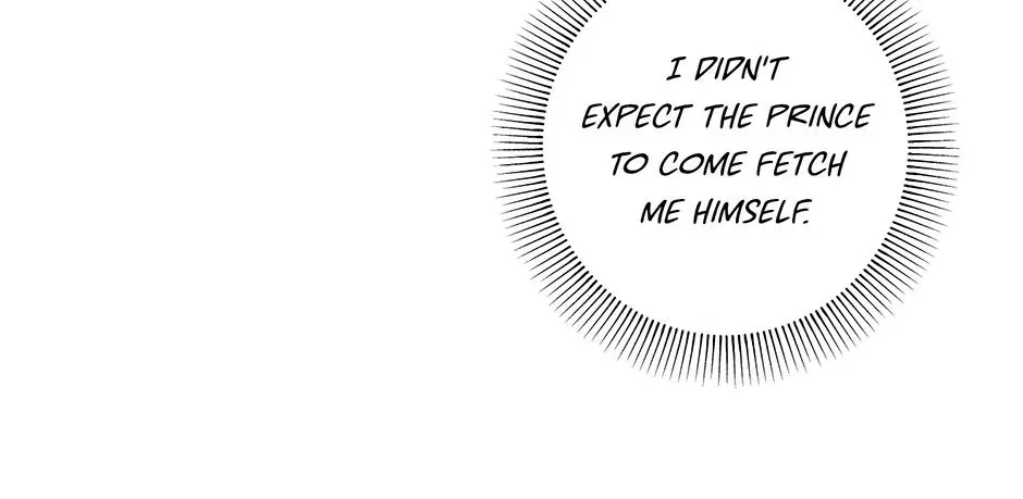 Chapter 17 — page 98