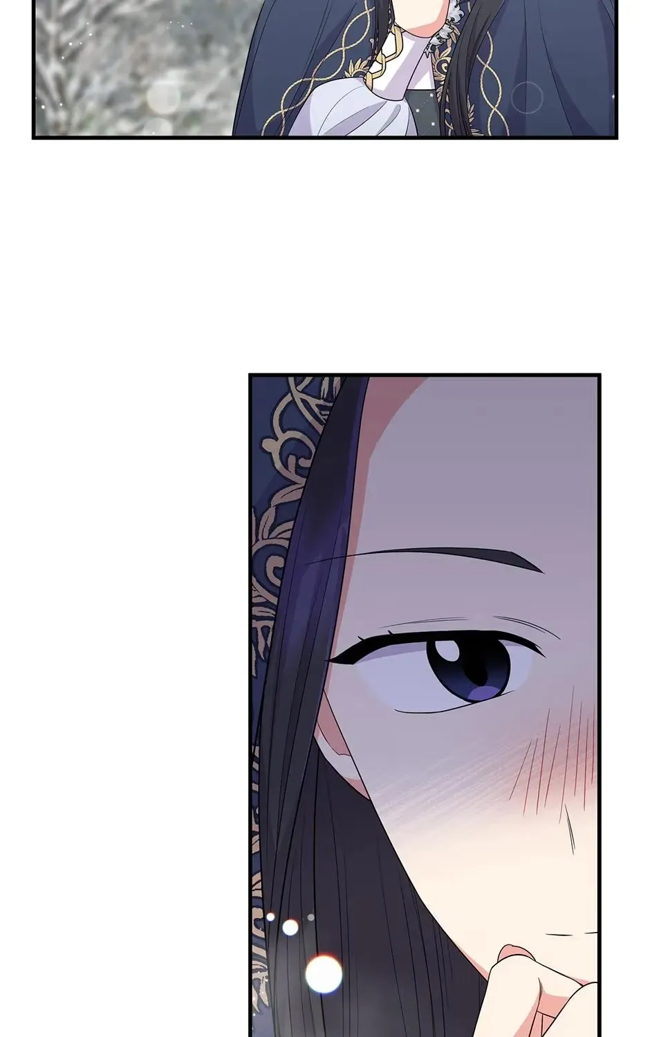 Chapter 23 — page 97