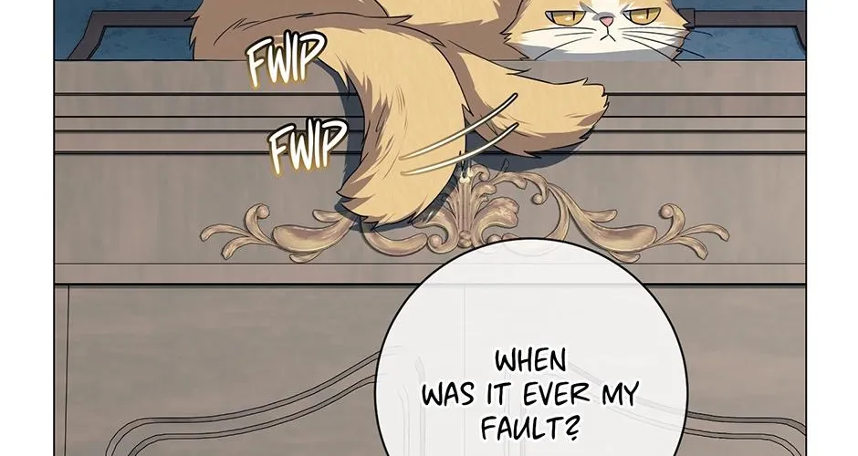 Chapter 1 — page 61