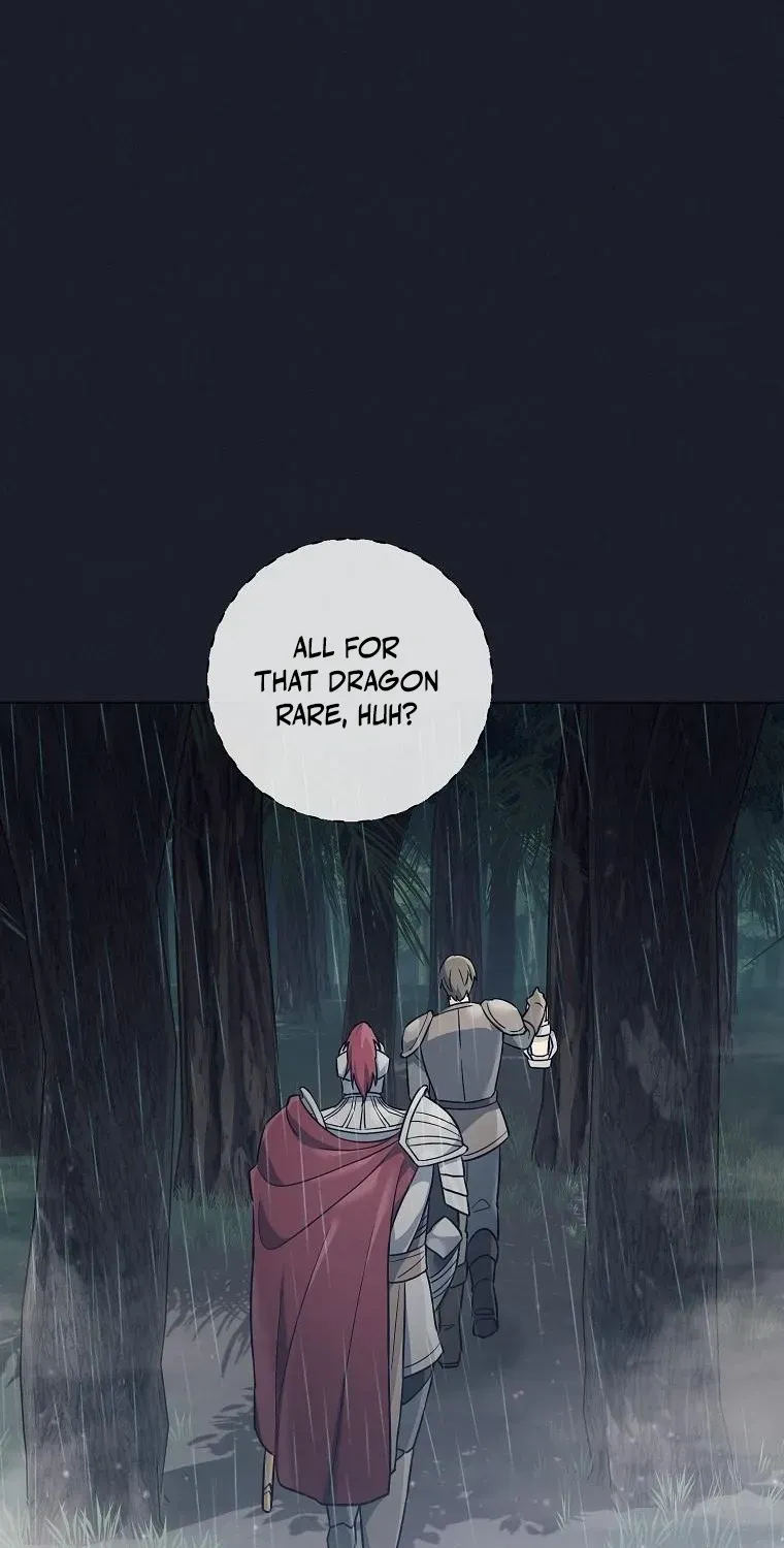 Chapter 2 — page 13