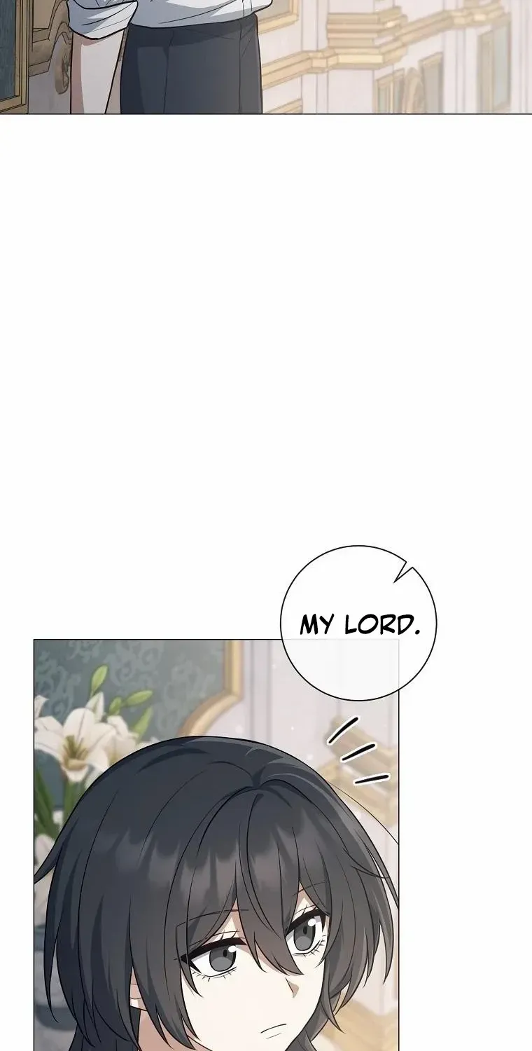 Chapter 3 — page 41