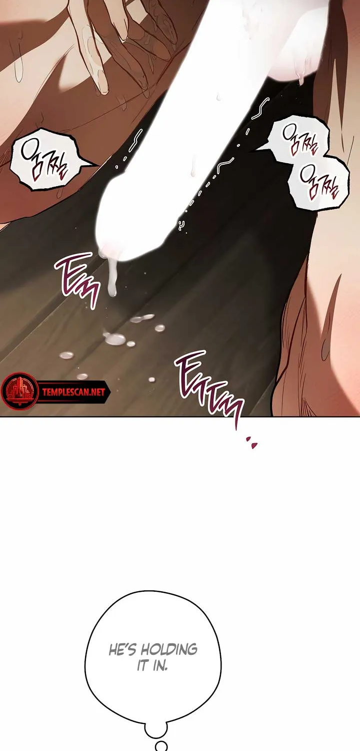 Chapter 3 — page 49