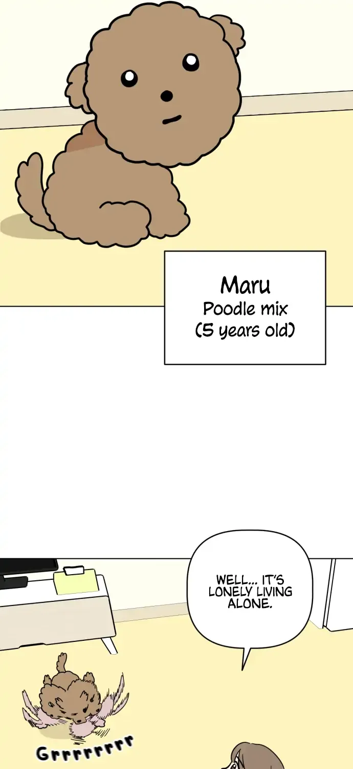 Chapter 1 — page 18