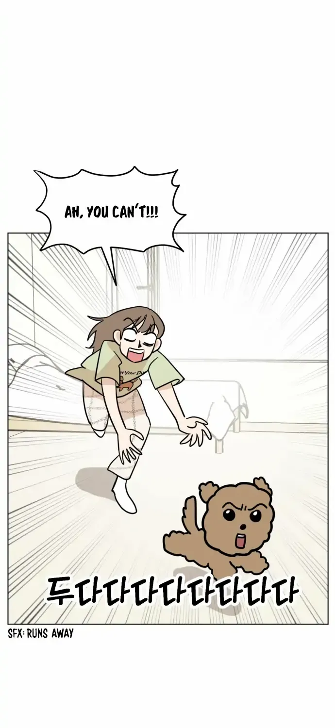 Chapter 1 — page 27