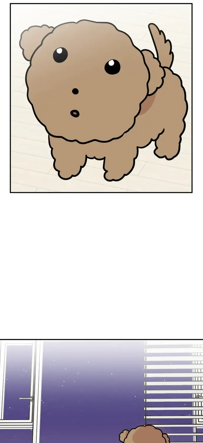 Chapter 1 — page 66