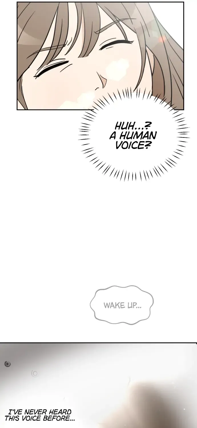 Chapter 1 — page 73