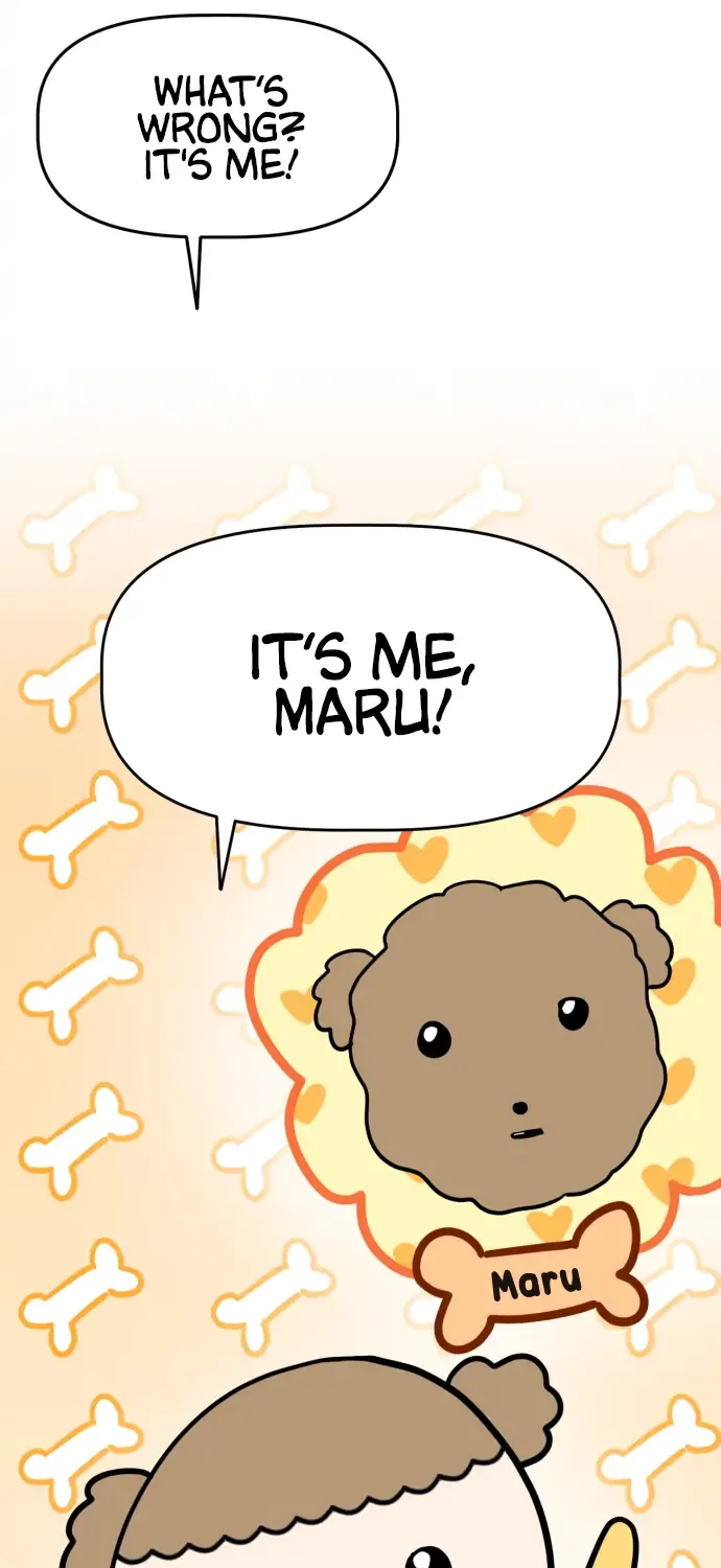Chapter 1 — page 81