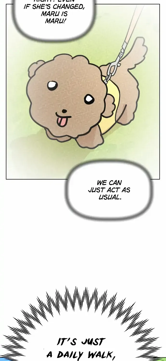 Chapter 2 — page 11