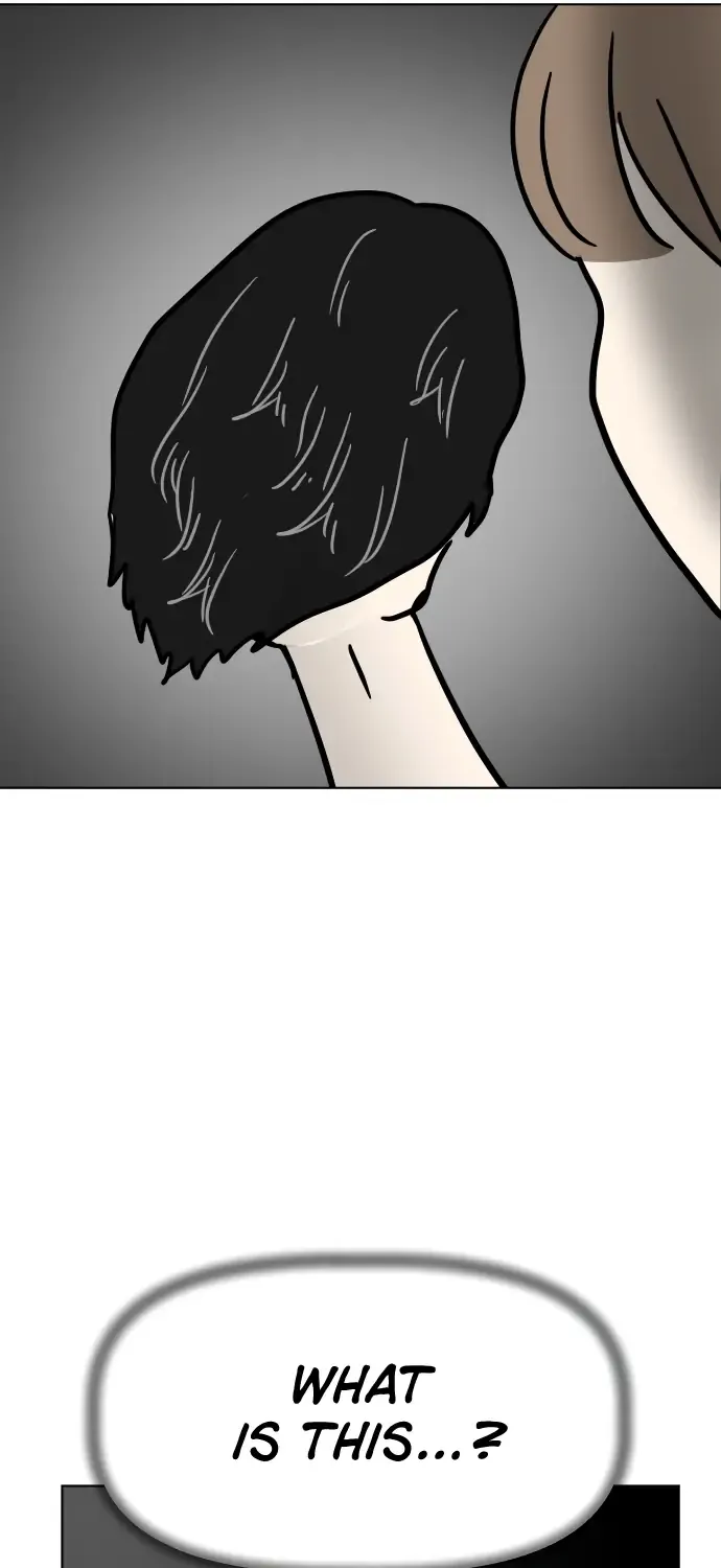 Chapter 2 — page 43