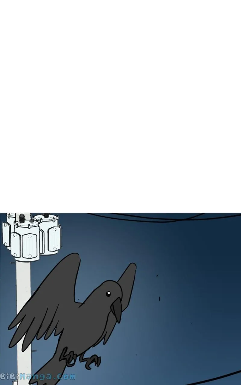 Chapter 11 — page 81