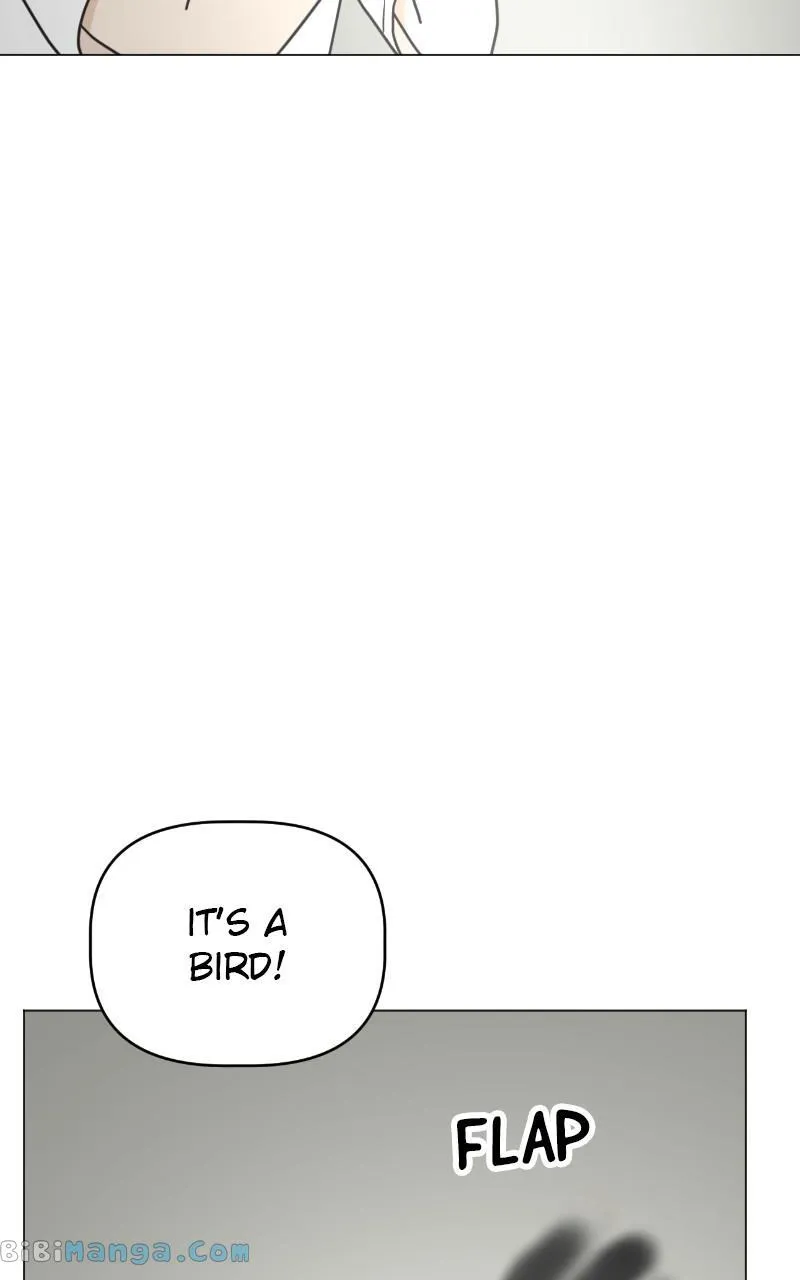 Chapter 12 — page 51
