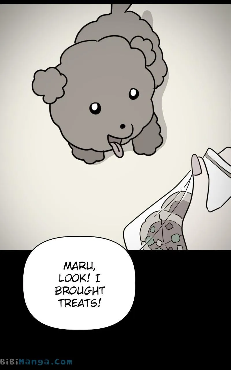 Chapter 14 — page 4