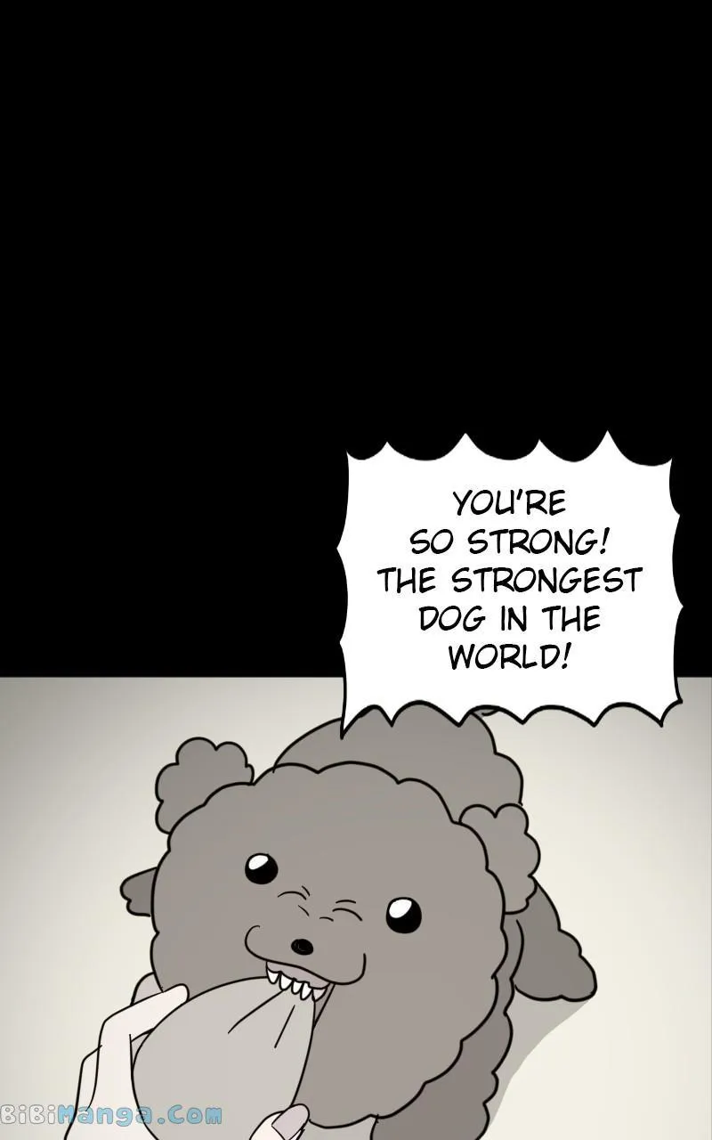 Chapter 14 — page 5