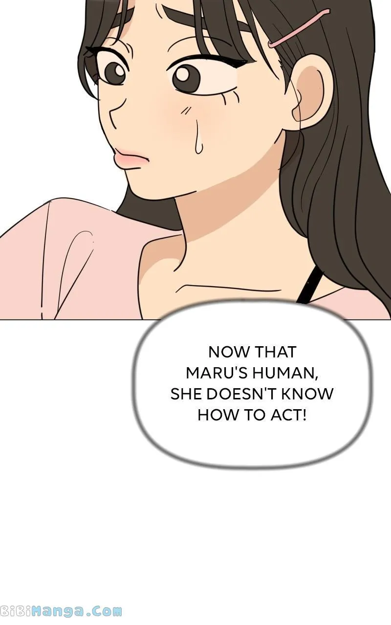 Chapter 14 — page 73