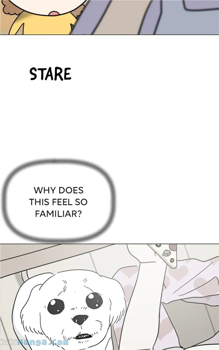 Chapter 20 — page 60