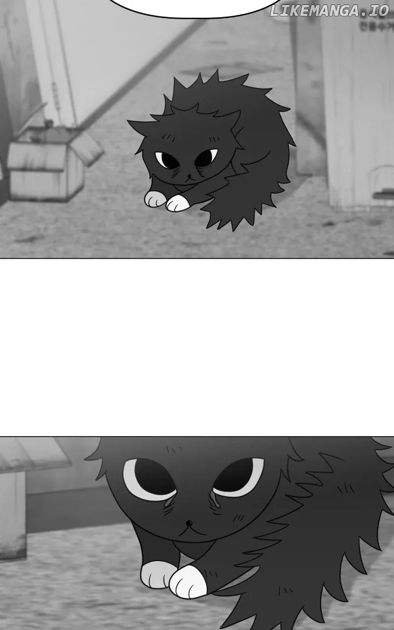 Chapter 56 — page 29