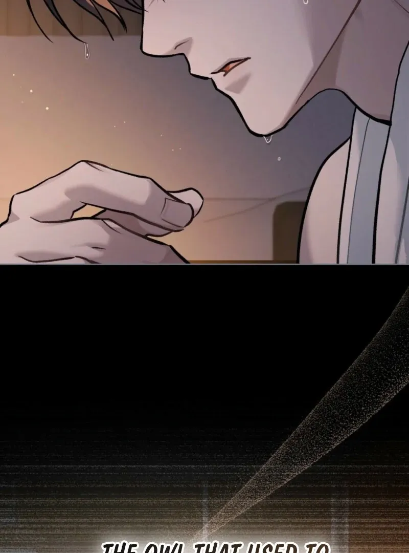 Chapter 38 — page 107
