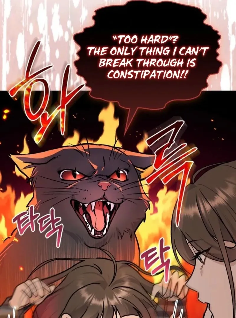 Chapter 44 — page 71