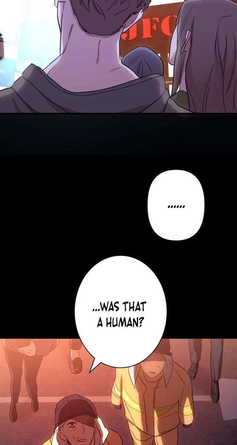 Chapter 4 — page 46