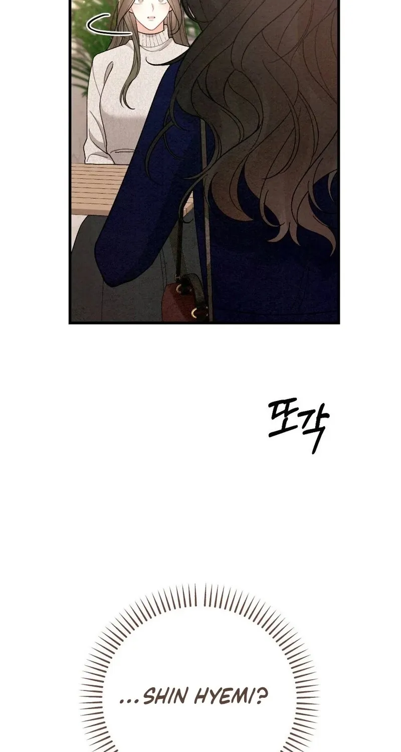 Chapter 15 — page 96