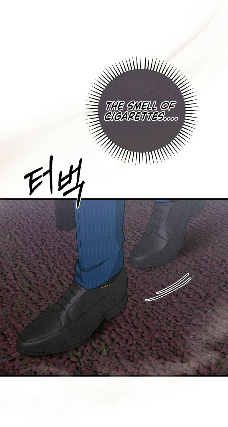 Chapter 24 — page 84