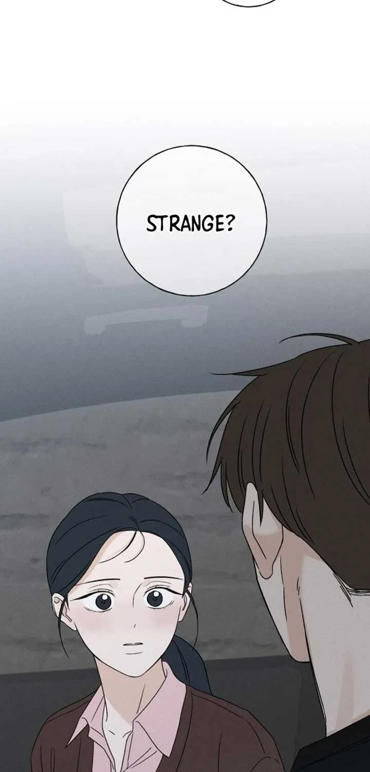 Chapter 13 — page 85
