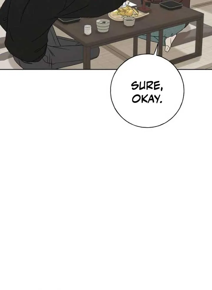 Chapter 15 — page 91