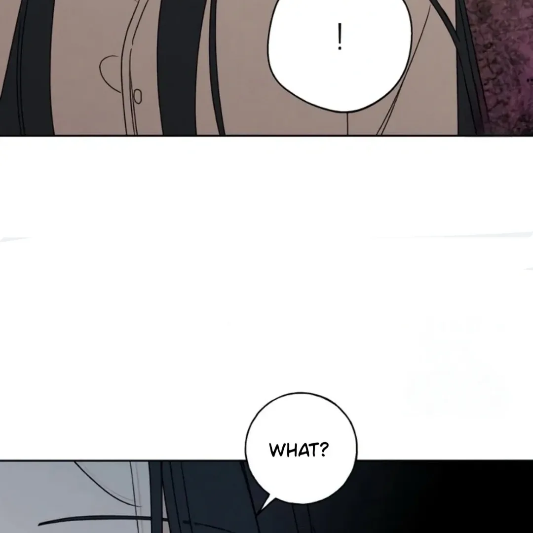 Chapter 17 — page 108