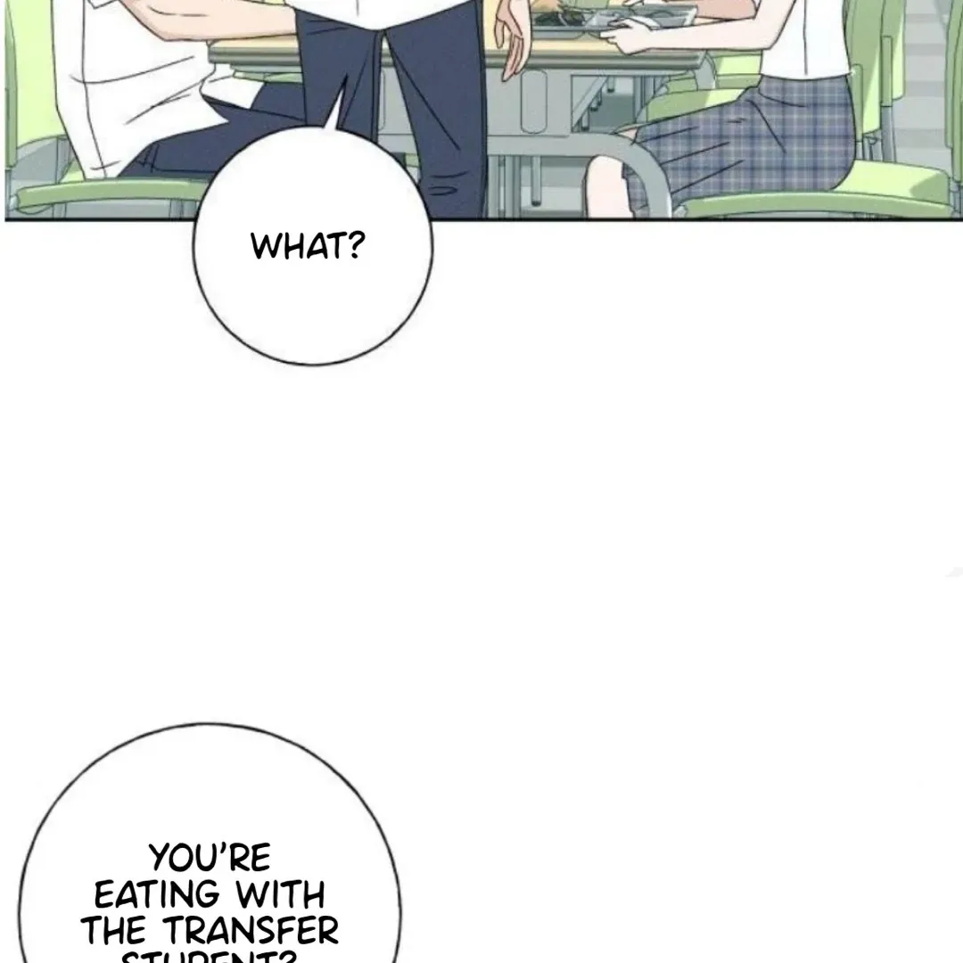 Chapter 20 — page 156